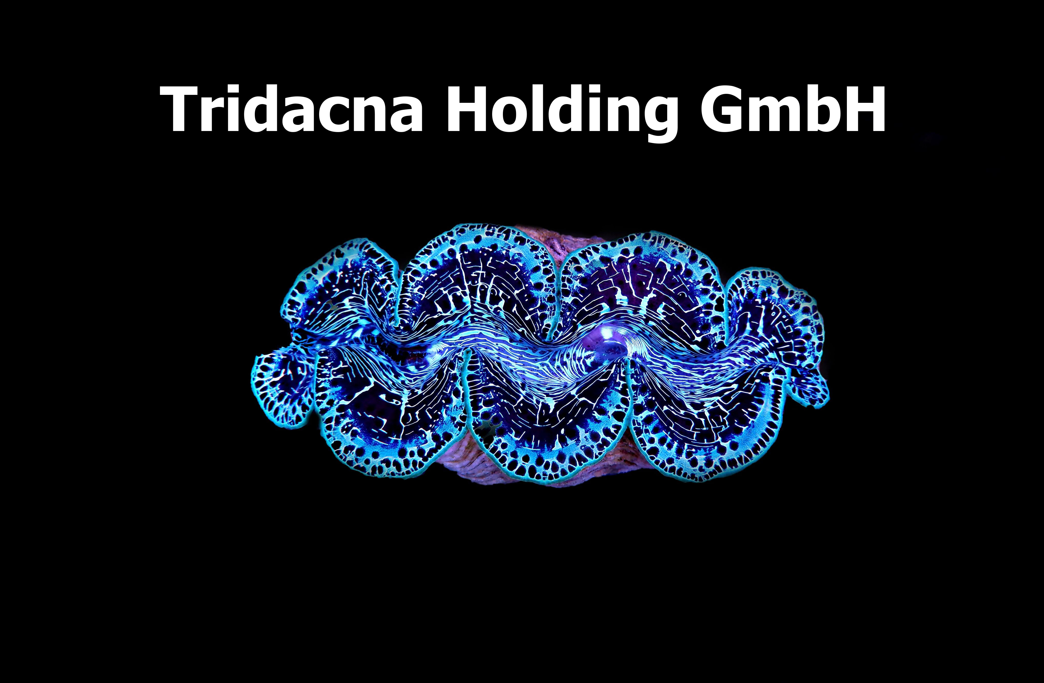 Tridacna Holding GmbH -logo
