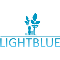 LightBlue Consulting-logo