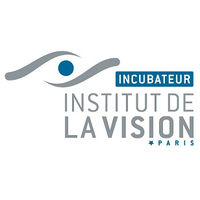 Institut de la Vision-logo