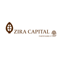 Zira Capital Investment-logo