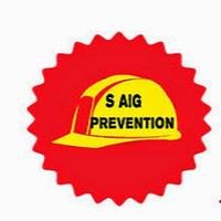 S AIG PREVENTION CONSEILS SECURITE-logo