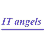Réseau IT Angels-logo