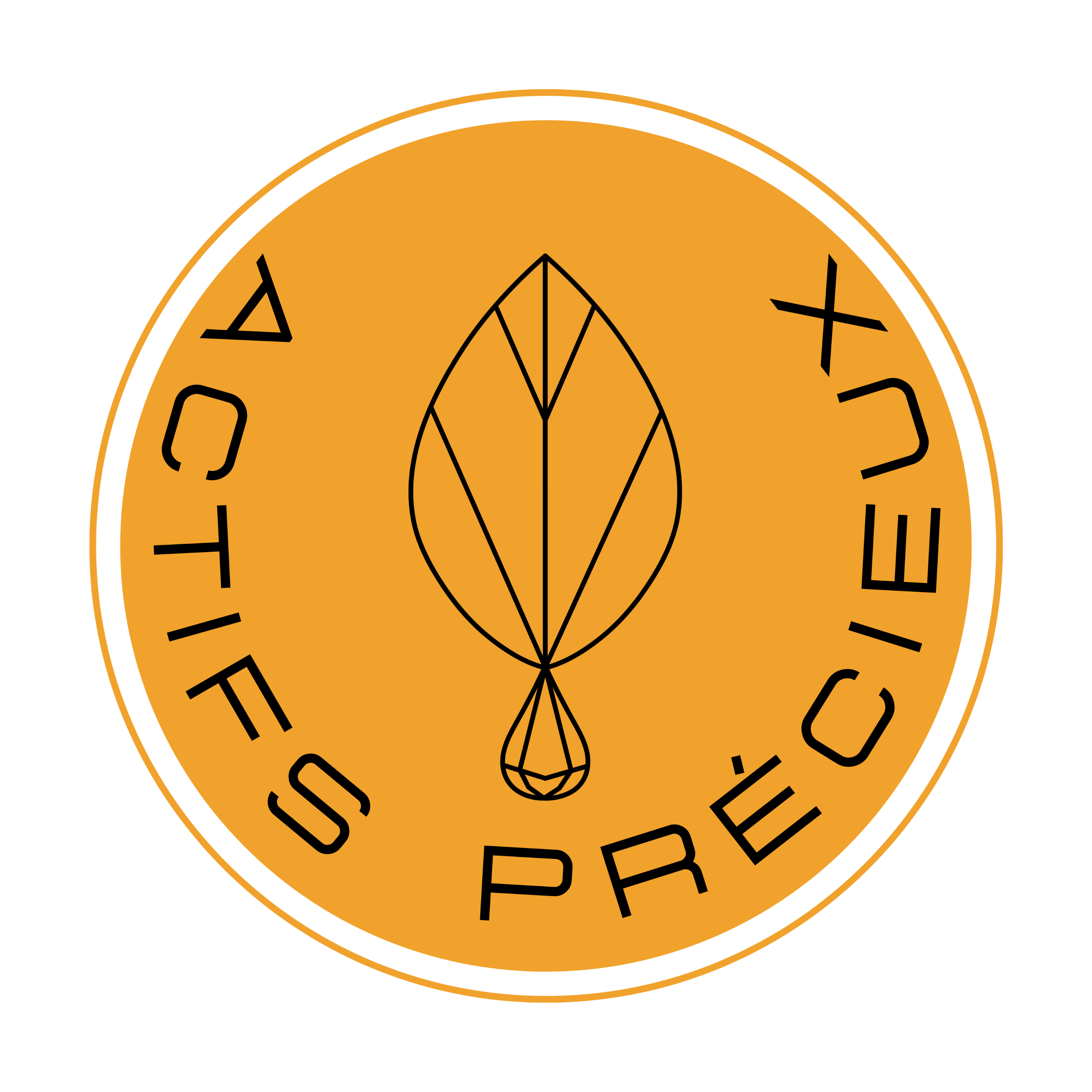 Actifs Précieux logo