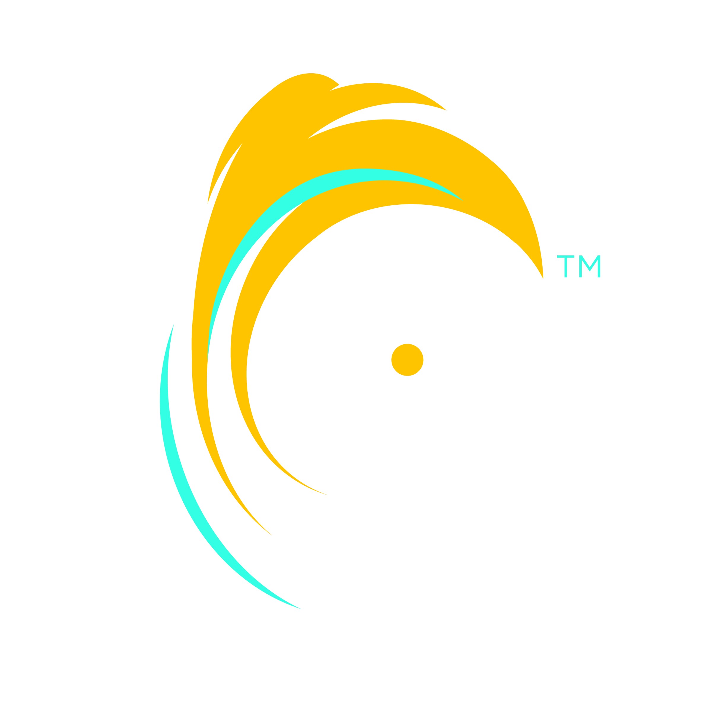 Logo commerciale