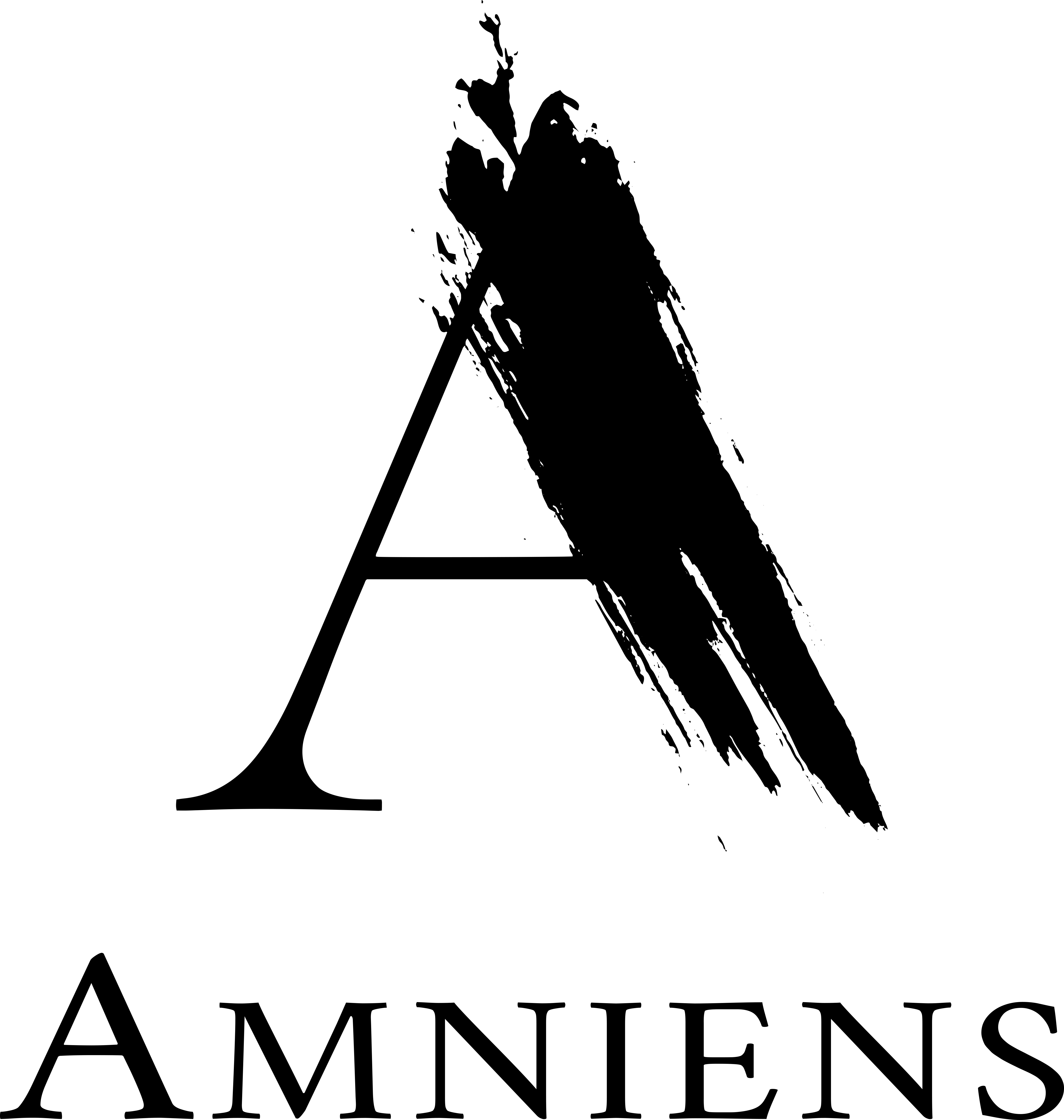 AMNIENS logo