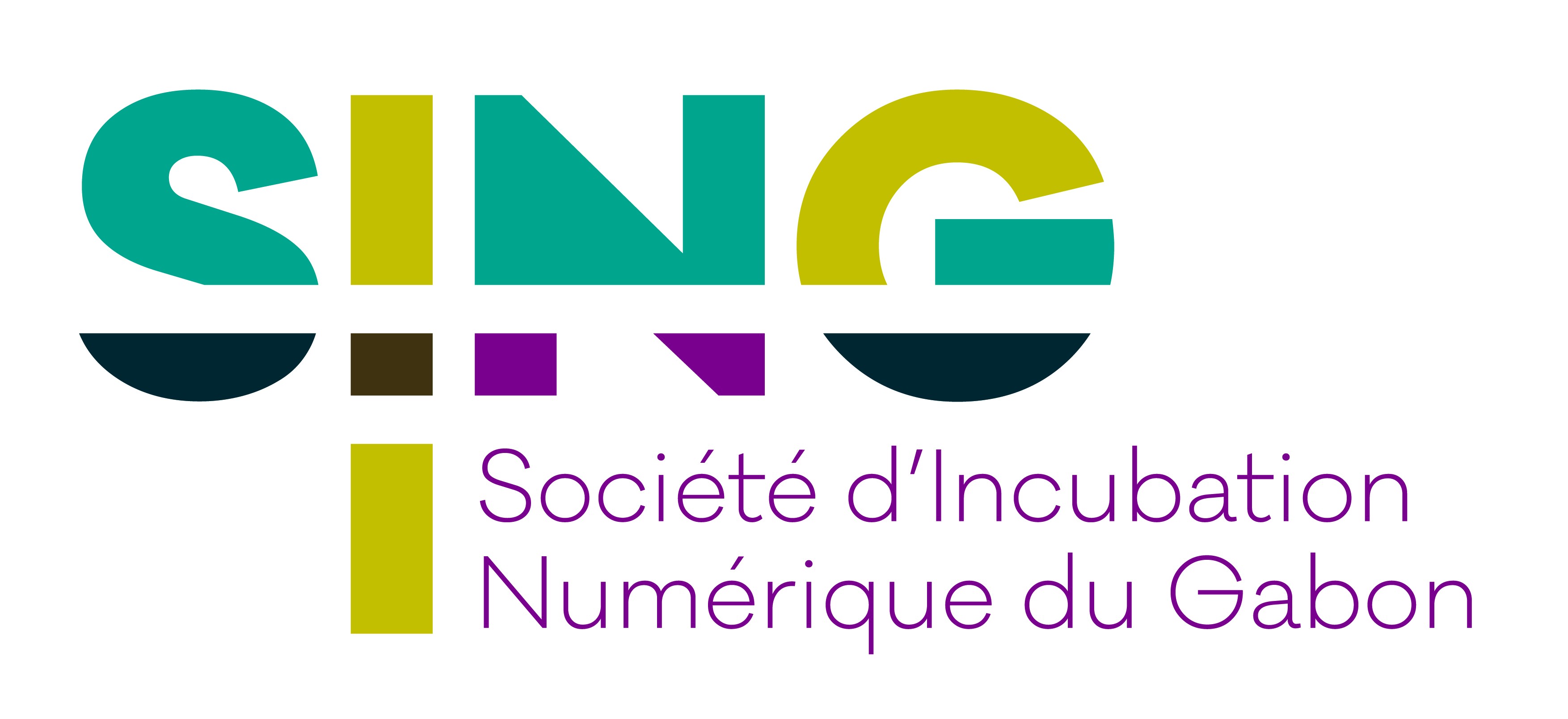 Société d'Incubation Numérique du Gabon