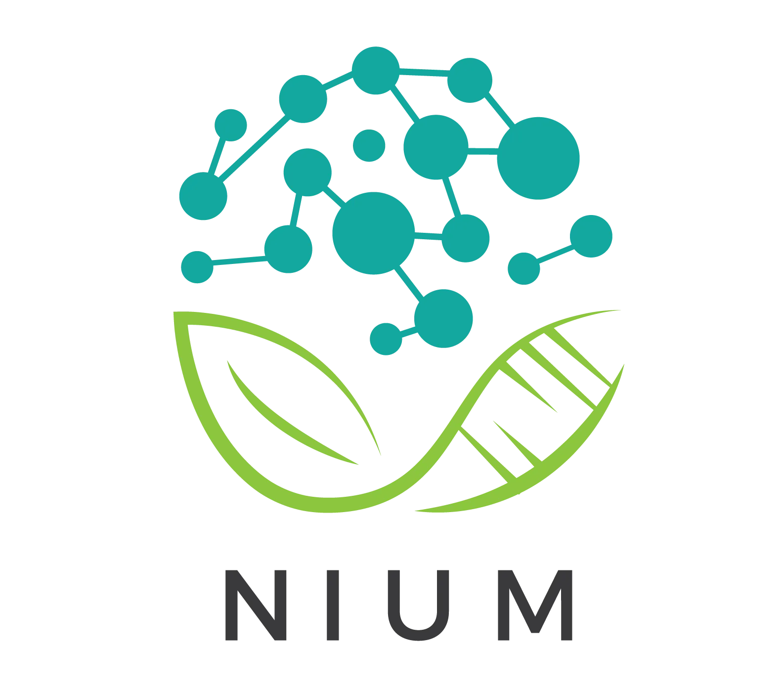 nium logo