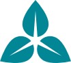 TAIC CONSORTIUM LIMITED