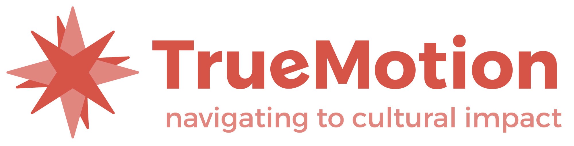 TrueMotion