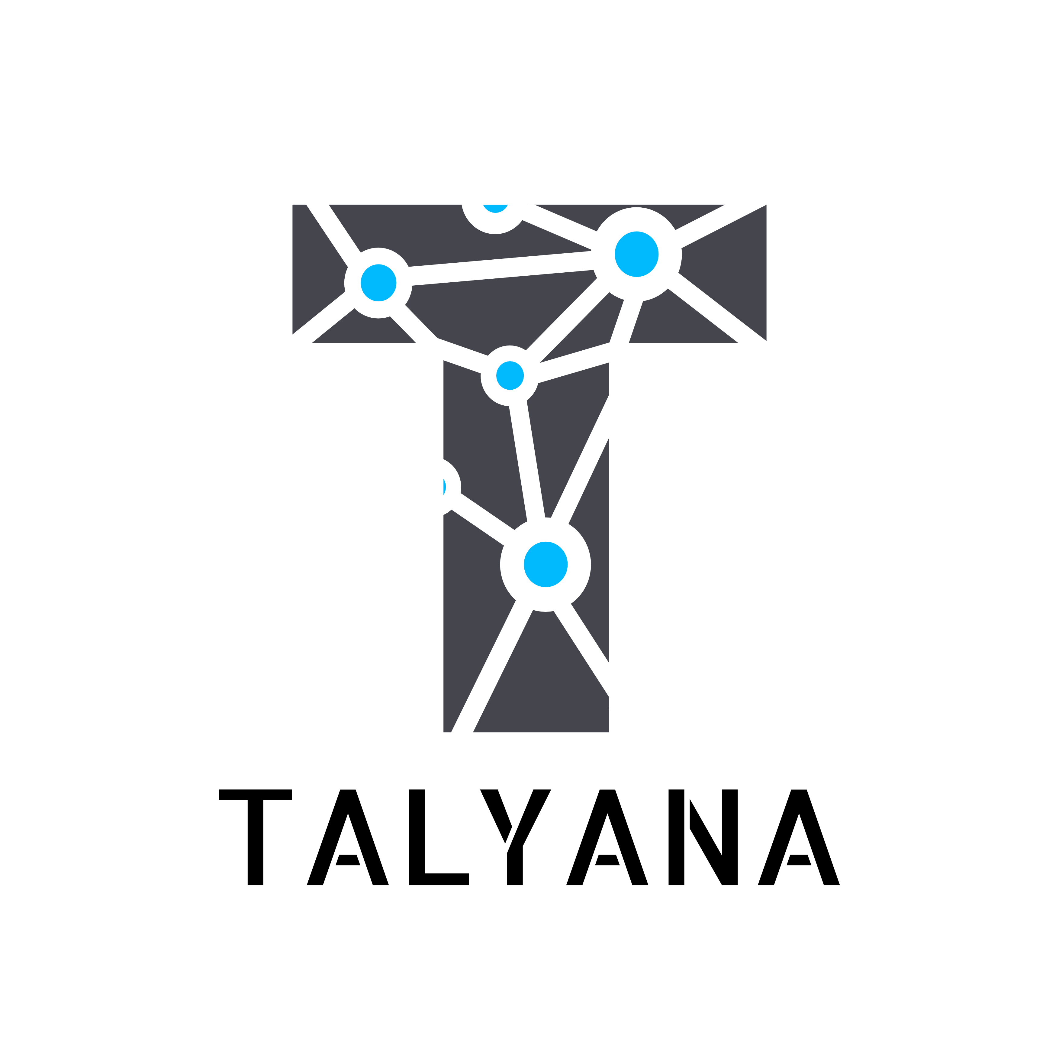The logo of Talyana Association is a T letter dotted by a blue net.