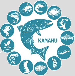 Digital solutions for aquafarms