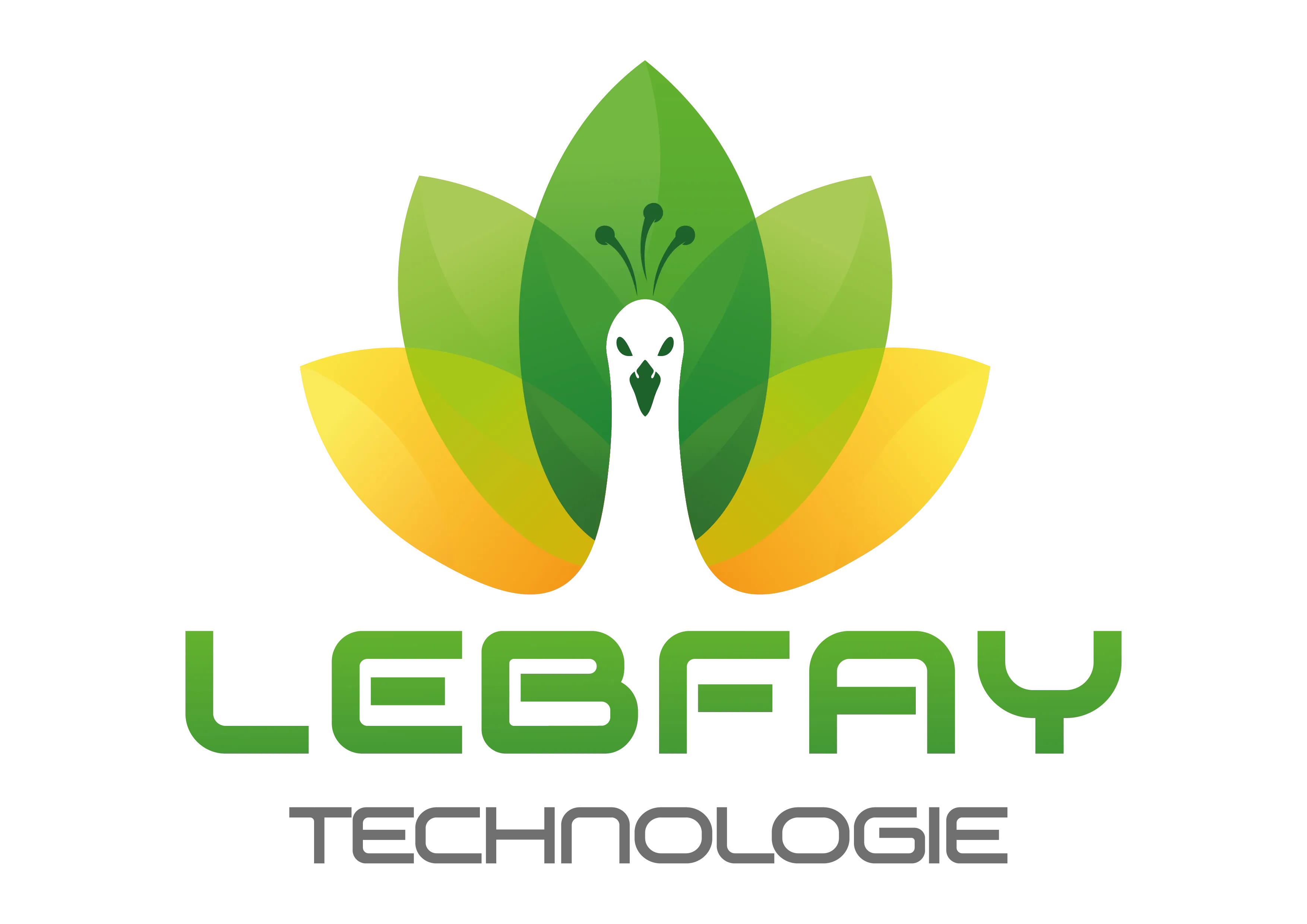 Lebfay Technologie