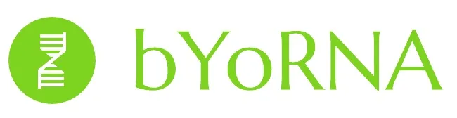bYoRNA
