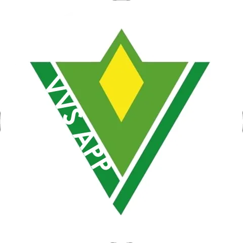 Vera Vista Solutions
