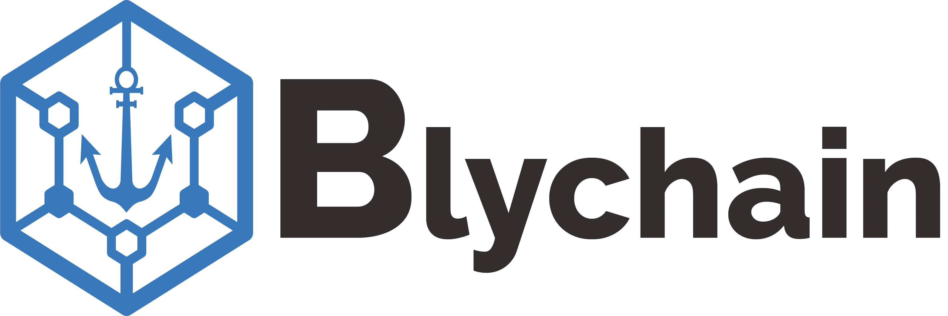 Blychain Technologies