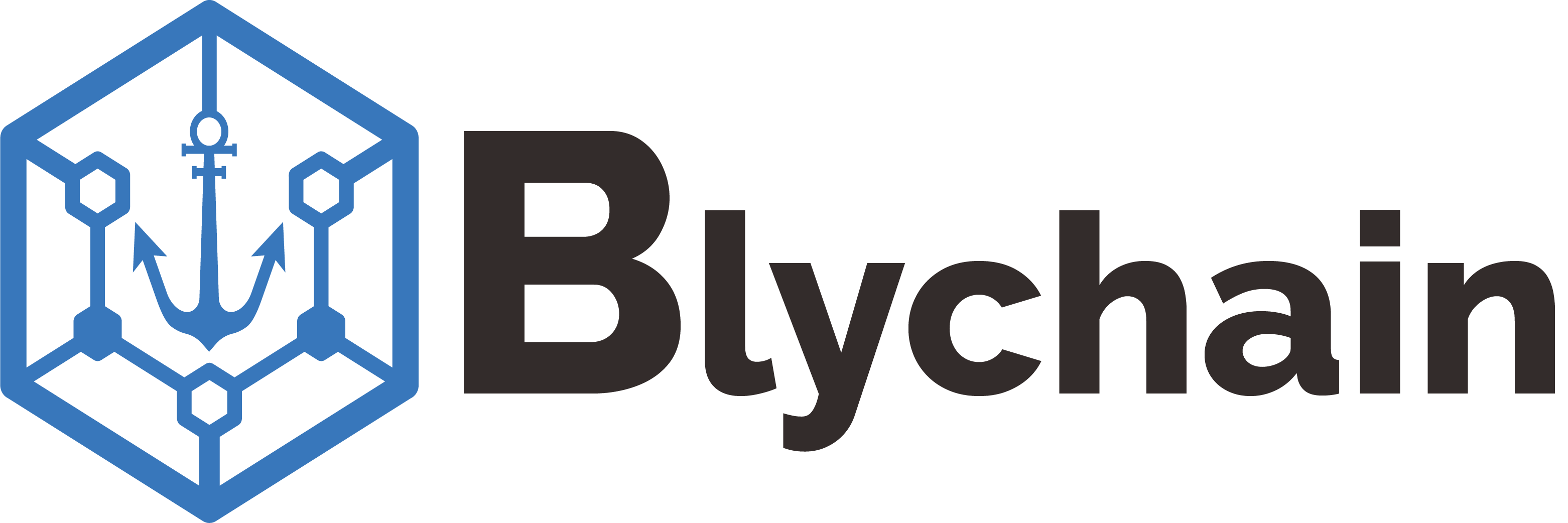 Blychain Technologies