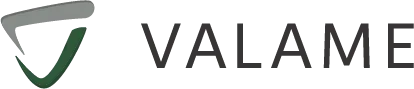 VALAME logo