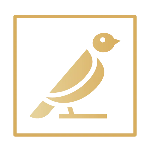 Capitalista llc