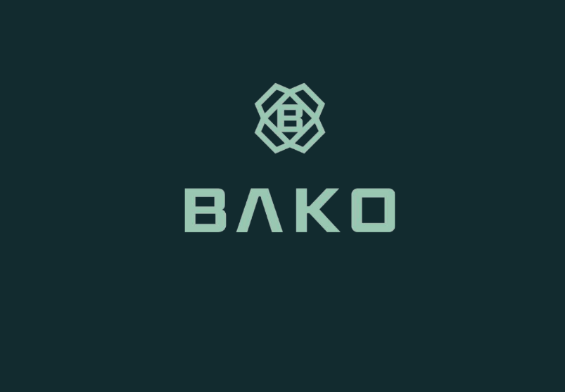 L'image montre le logo de Bako Motors, avec un symbole géométrique stylisé au-dessus du nom "BAKO" écrit en lettres majuscules vert pâle sur un fond sombre.