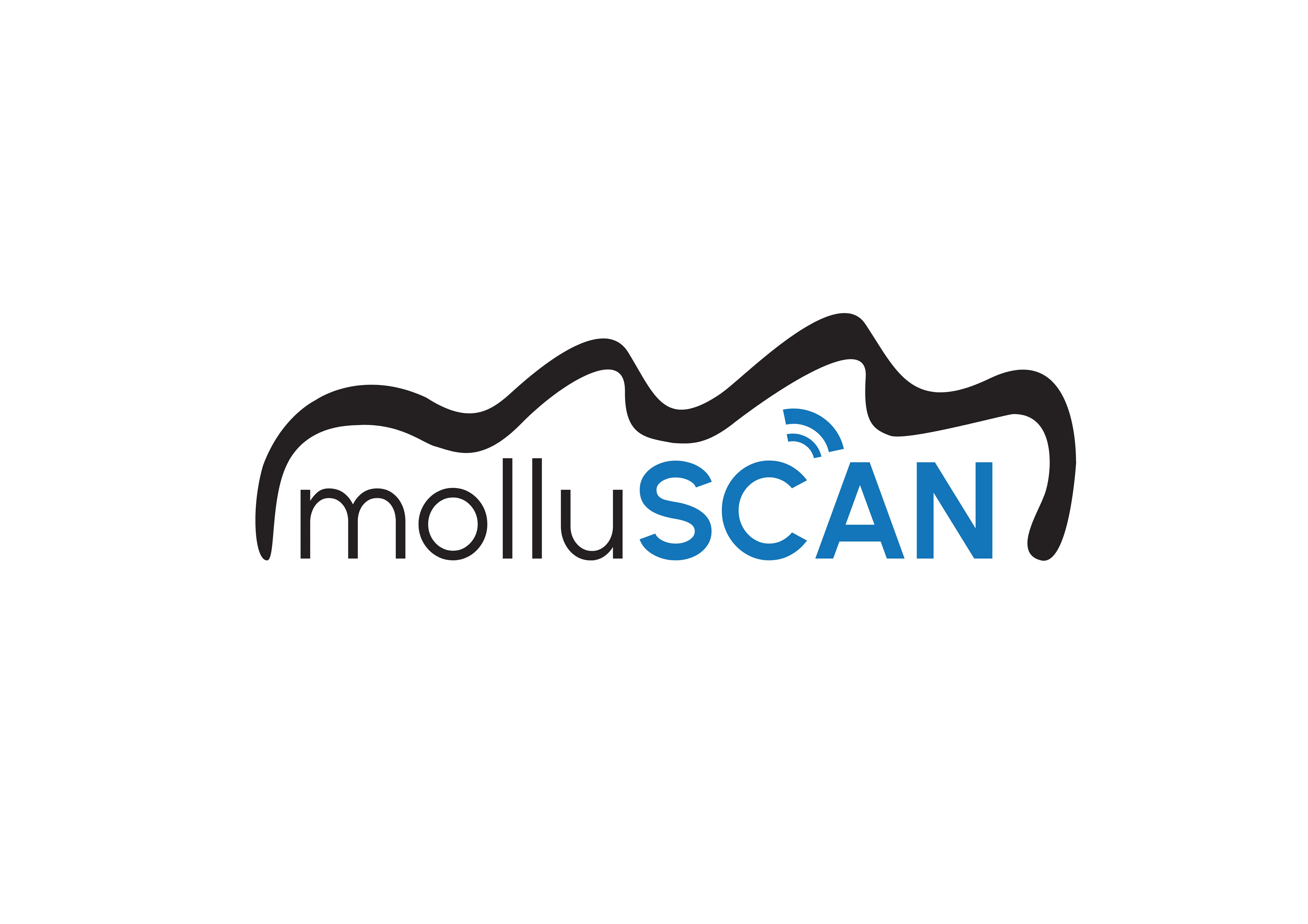 Logo molluscan representant une coquille et l'internet des objets