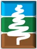 Electricity, Water and Empowerment