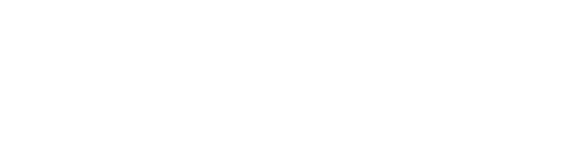 BRAVVO
