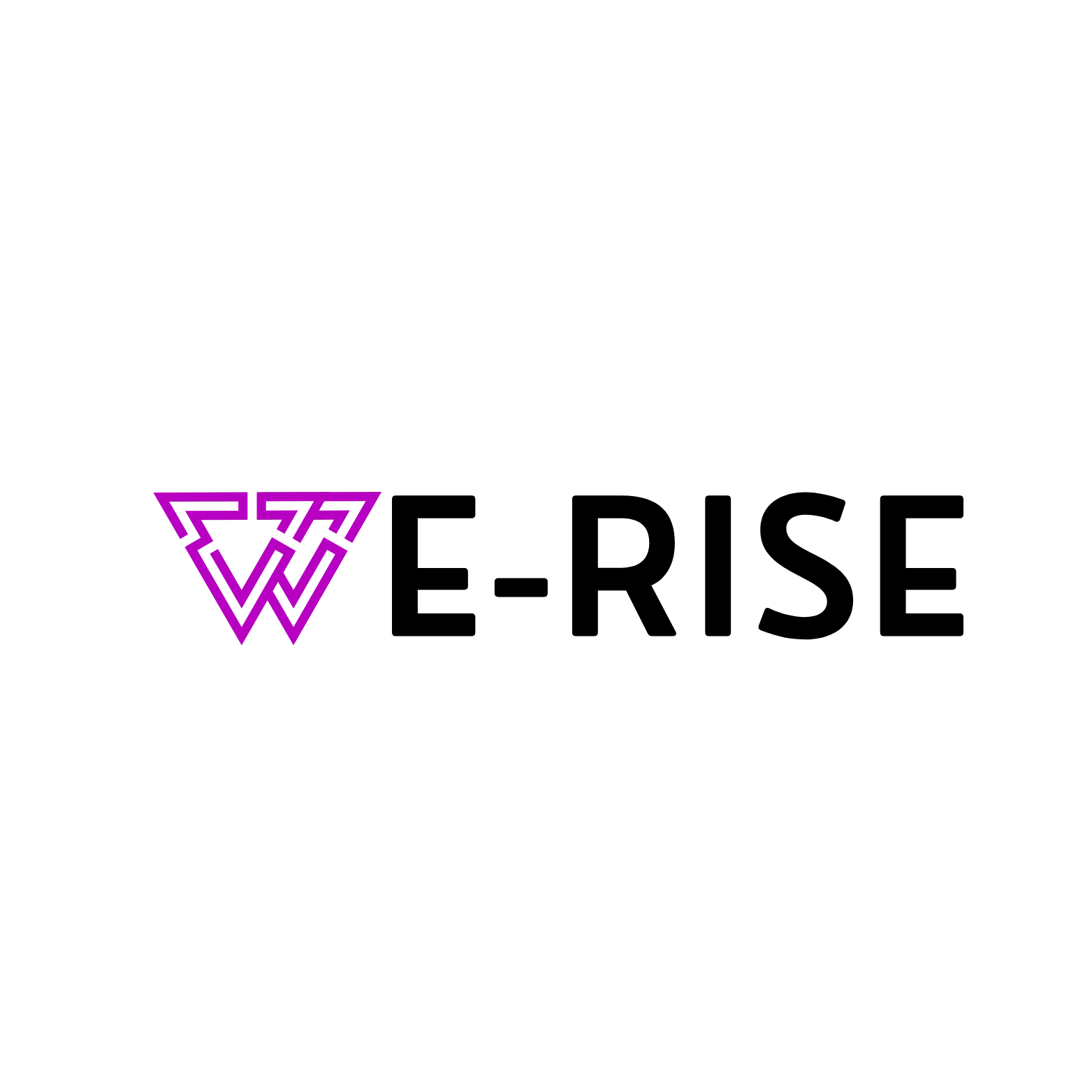 WE-RISE logo
