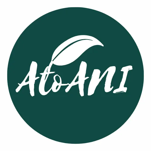 AtoANI Logo