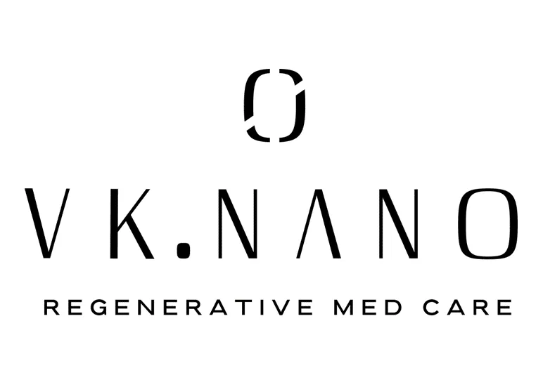 VK NANO Logo