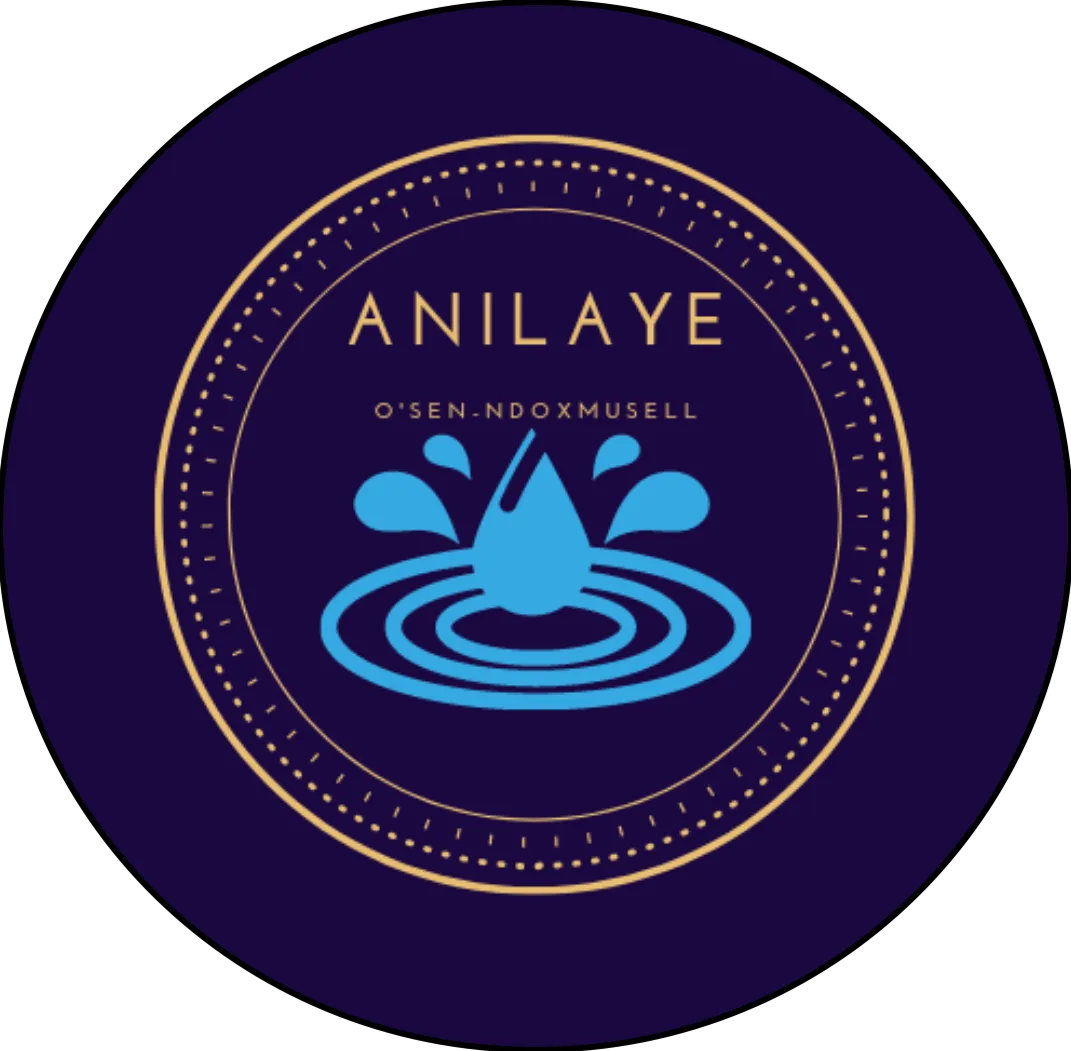 logo ANILAYE