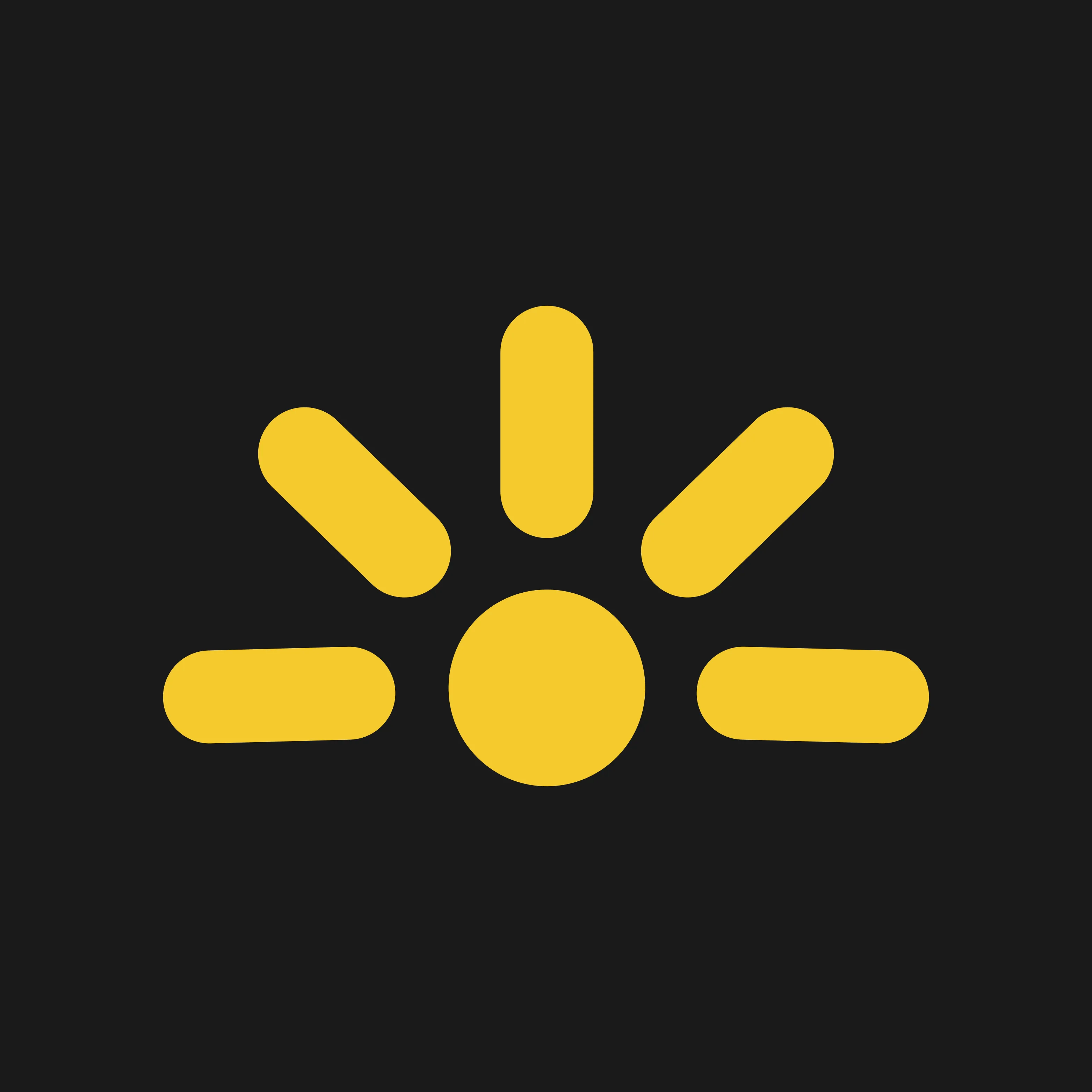 LightMirror logo