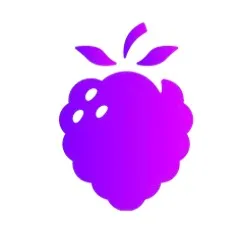 WellBerry_logo