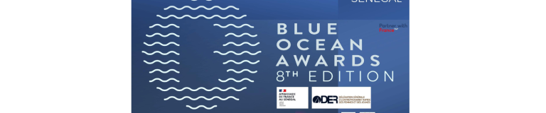 BLUE OCEAN AWARDS