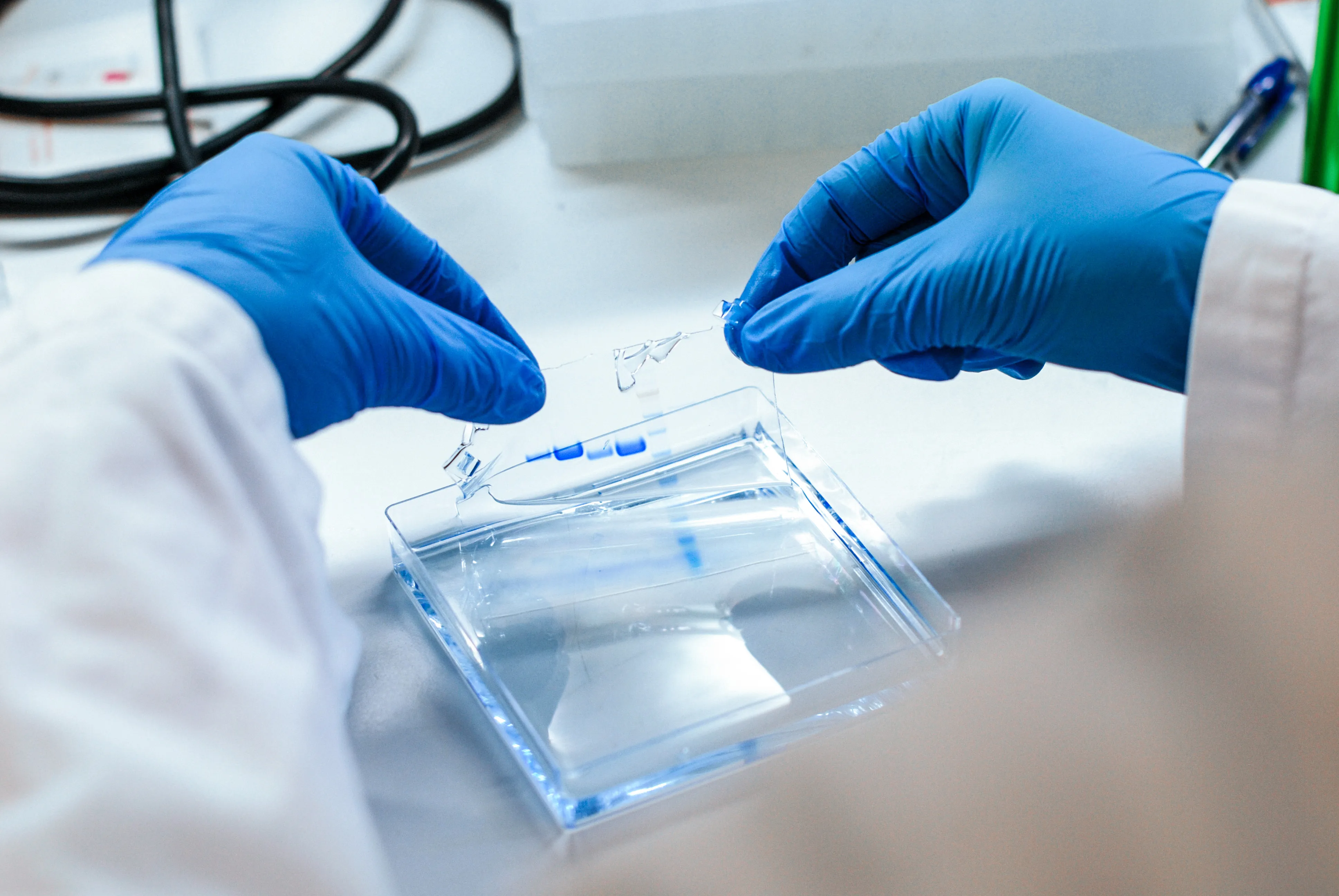 ExpreS2ion lab
