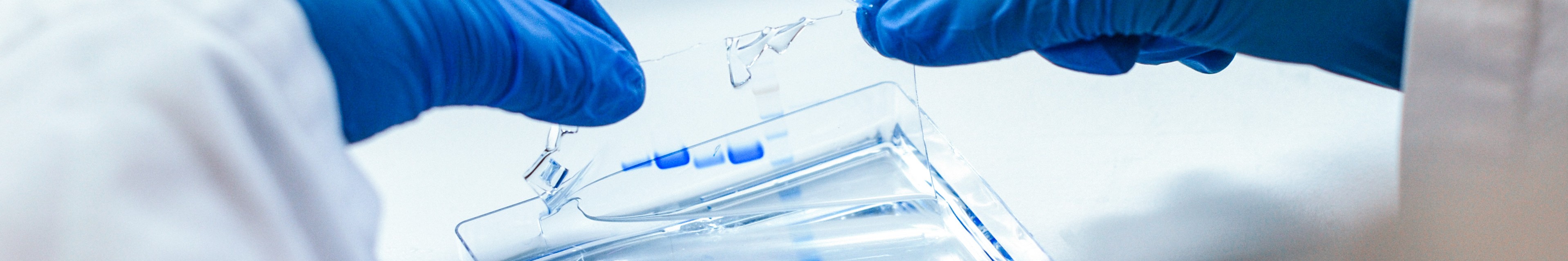 ExpreS2ion lab