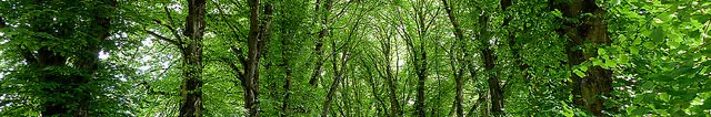Mondapro environmental action