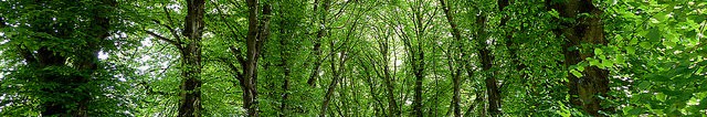 Mondapro environmental action
