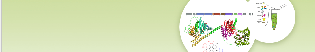 Intelligent Natural Product Discovery Platform