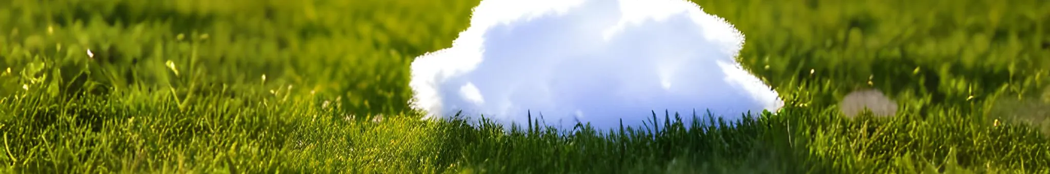 Fermez les yeux et imaginez un nuage caressant la pelouse, c'est ça notre vision du respect de la nature