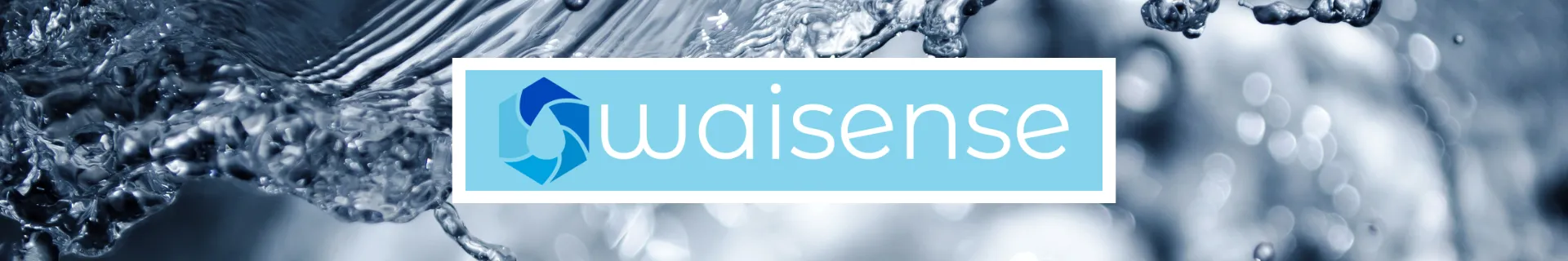 logo waisense
