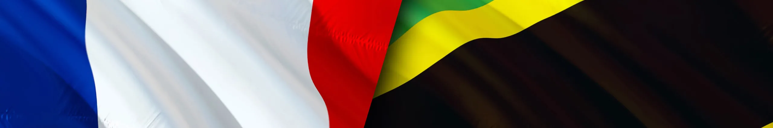 Ambassade de France en Tanzanie x Afrique France entrepreneur