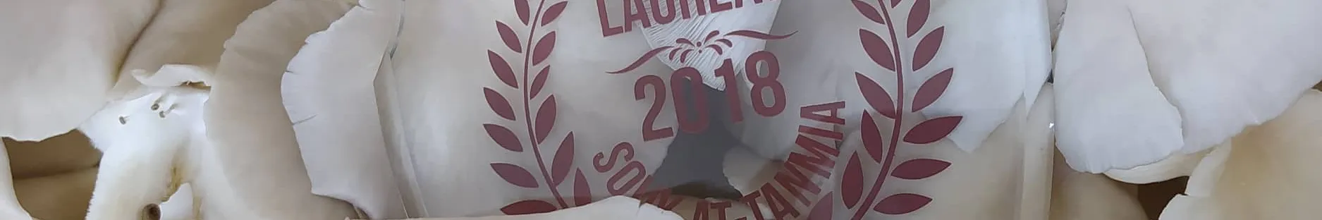 Gagnant de la compétition nationale Souk Attanmia pour notre startup convertissant les déchets de marc de café en champignons comestibles et en engrais organique, promouvant ainsi l'innovation durable et la création d'emplois locaux.
