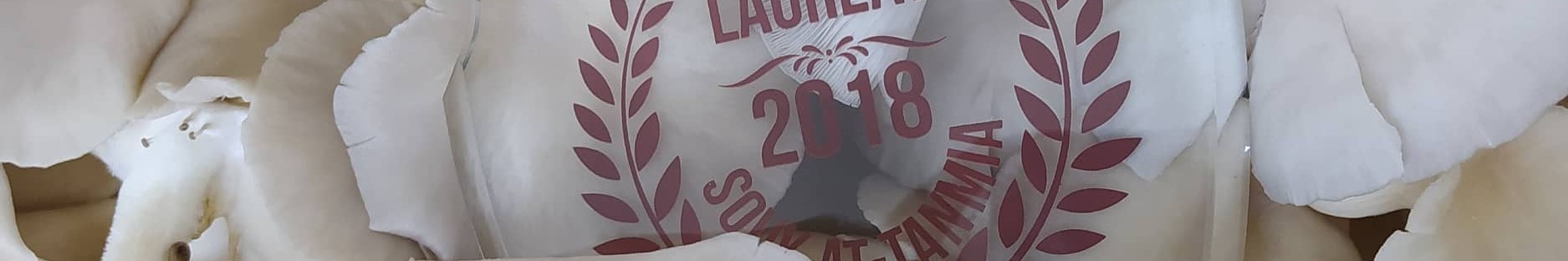 Gagnant de la compétition nationale Souk Attanmia pour notre startup convertissant les déchets de marc de café en champignons comestibles et en engrais organique, promouvant ainsi l'innovation durable et la création d'emplois locaux.