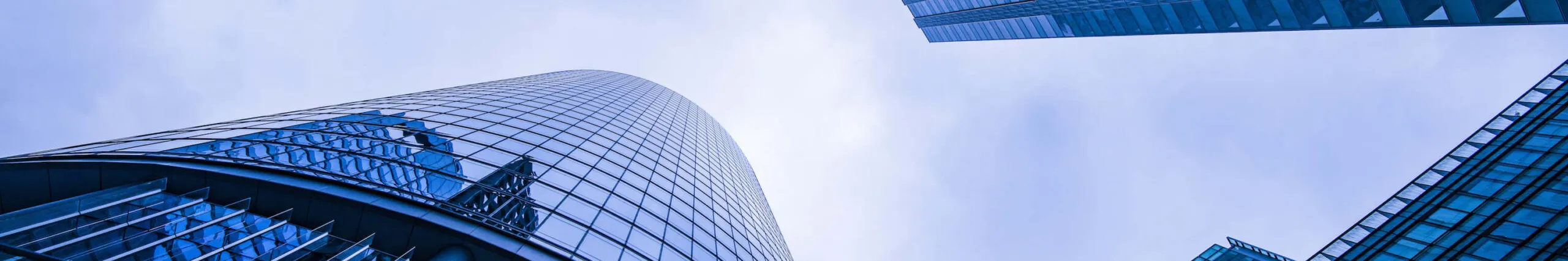 Digital Innovation