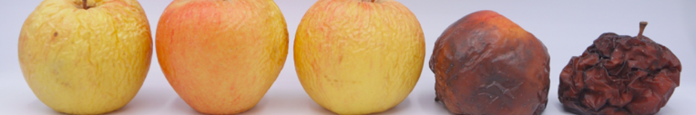 Various treatment on apple