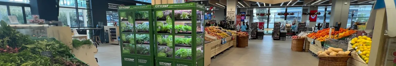 CityCrop Banner