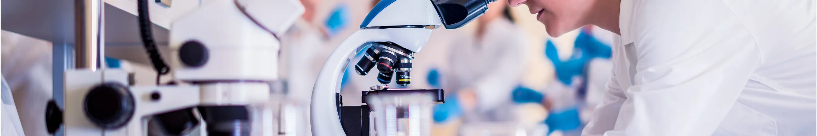 Researcher analysing sample on microscope
