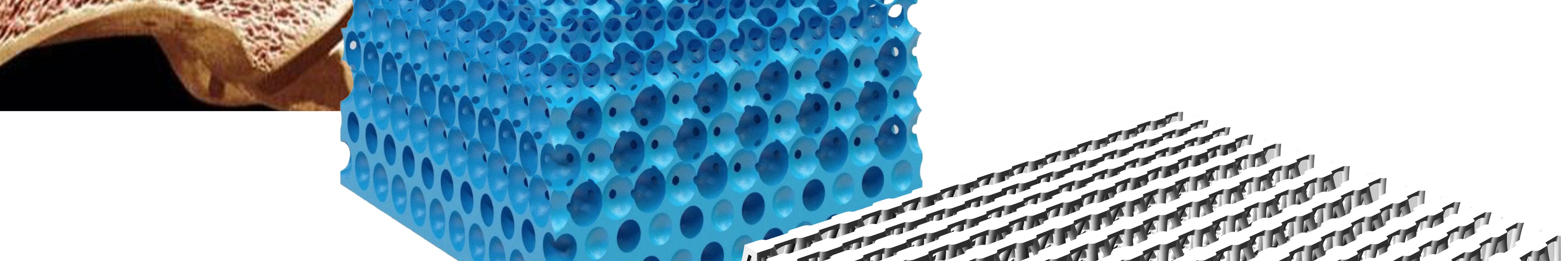Le moulage de structures alvéolaires et lattices à variation de densité, une technologie biomimétique.