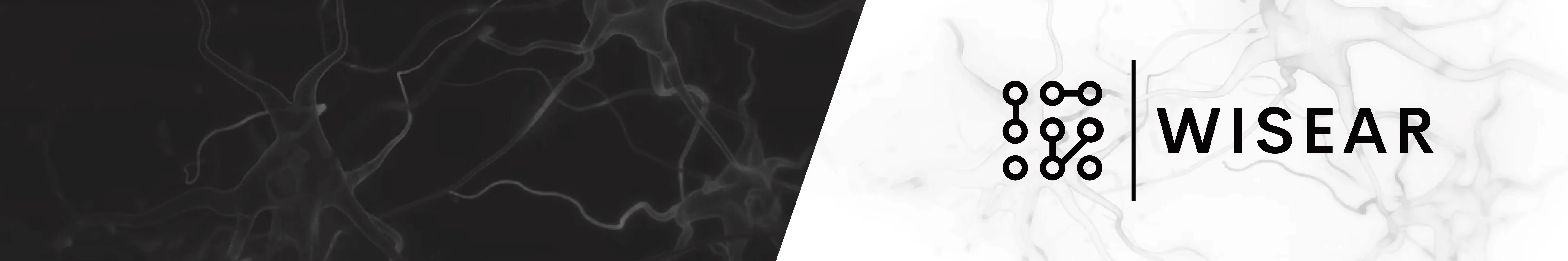 Wisear Banner