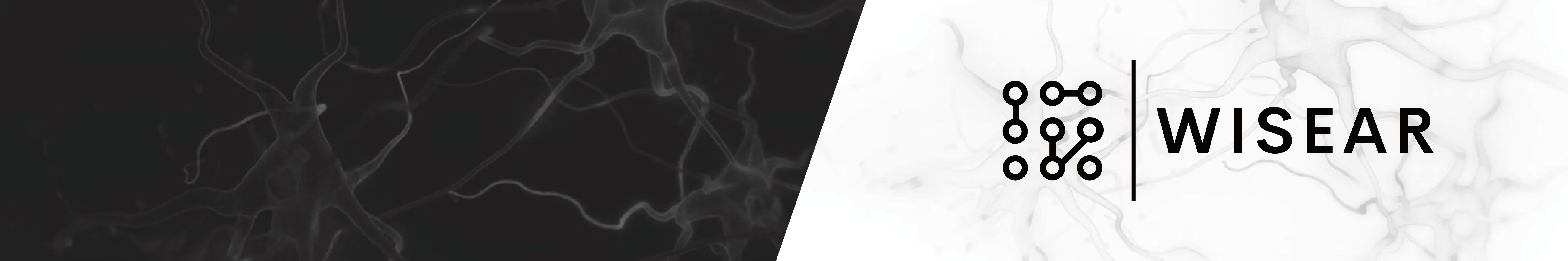 Wisear Banner